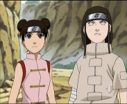 neji e ten ten